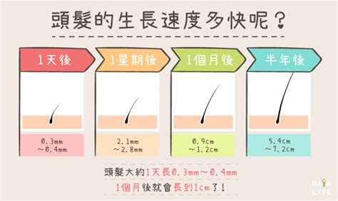 毛髮多|如何讓頭髮變多？科學實證 8 個習慣：吃生髮食物、按摩頭皮幫助。